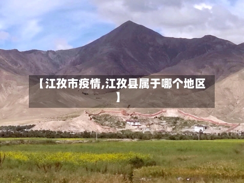【江孜市疫情,江孜县属于哪个地区】-第3张图片