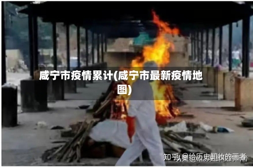 咸宁市疫情累计(咸宁市最新疫情地图)-第2张图片