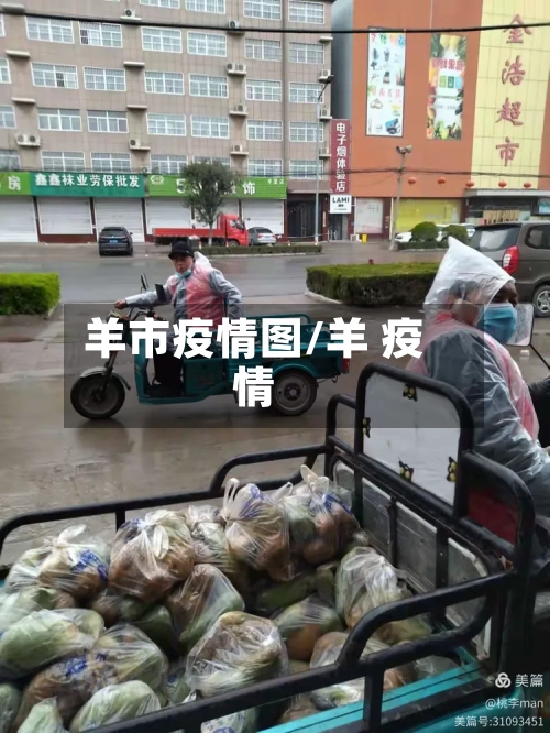 羊市疫情图/羊 疫情-第1张图片