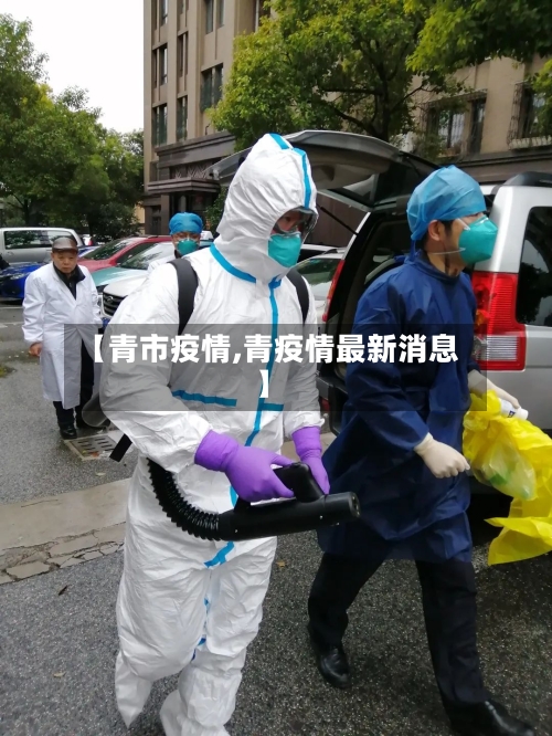 【青市疫情,青疫情最新消息】-第1张图片