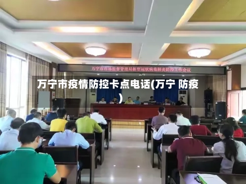 万宁市疫情防控卡点电话(万宁 防疫)-第2张图片
