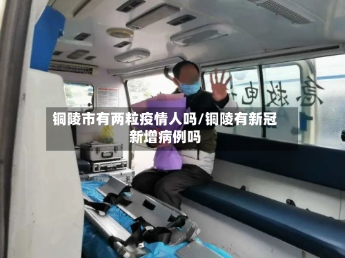 铜陵市有两粒疫情人吗/铜陵有新冠新增病例吗-第1张图片