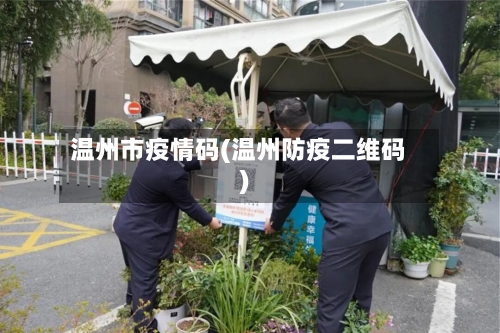 温州市疫情码(温州防疫二维码)-第2张图片