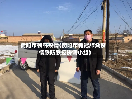 衡阳市杨林疫情(衡阳市新冠肺炎疫情联防联控协调小组)-第3张图片