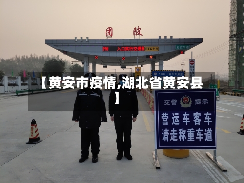 【黄安市疫情,湖北省黄安县】-第2张图片