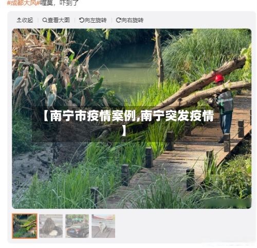 【南宁市疫情案例,南宁突发疫情】-第2张图片