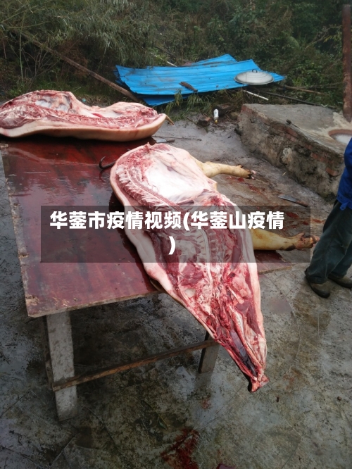 华蓥市疫情视频(华蓥山疫情)-第3张图片