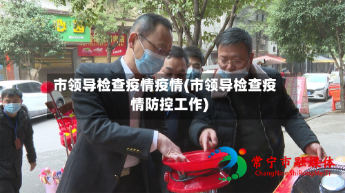 市领导检查疫情疫情(市领导检查疫情防控工作)-第1张图片