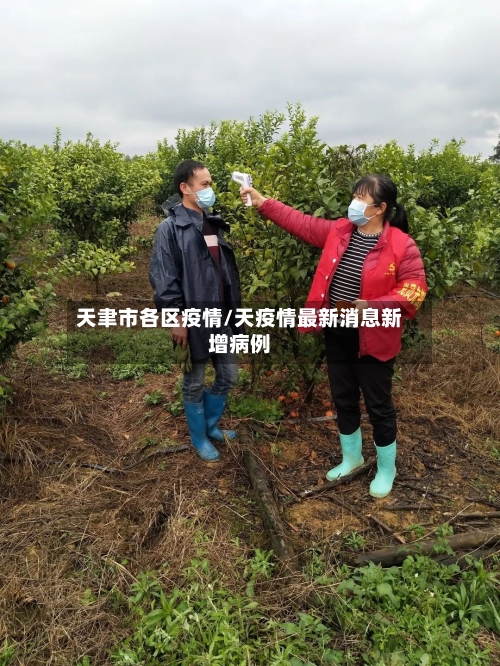 天聿市各区疫情/天疫情最新消息新增病例-第2张图片