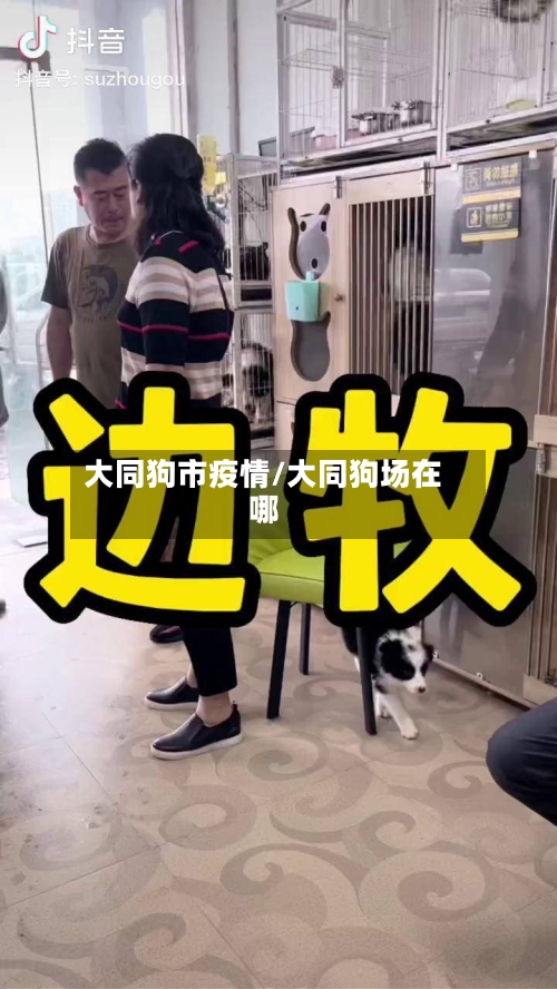 大同狗市疫情/大同狗场在哪-第2张图片