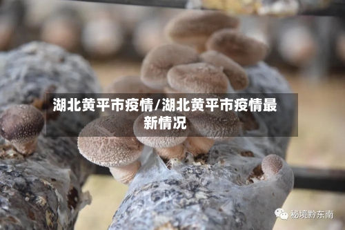 湖北黄平市疫情/湖北黄平市疫情最新情况-第1张图片
