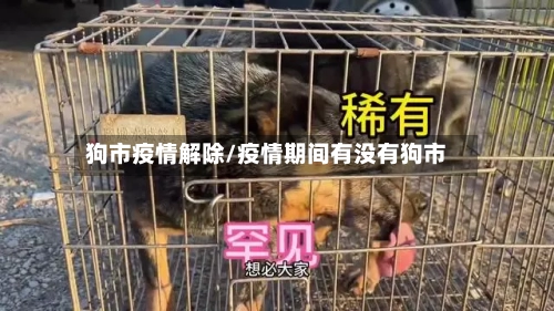 狗市疫情解除/疫情期间有没有狗市-第3张图片