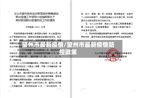 望州市最新疫情/望州市最新疫情防控政策-第3张图片