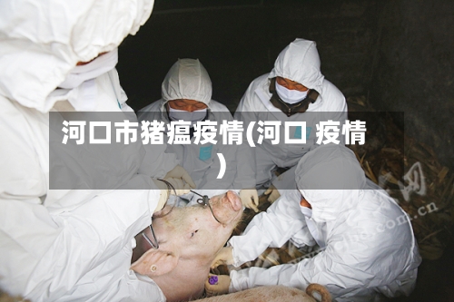 河口市猪瘟疫情(河口 疫情)-第1张图片