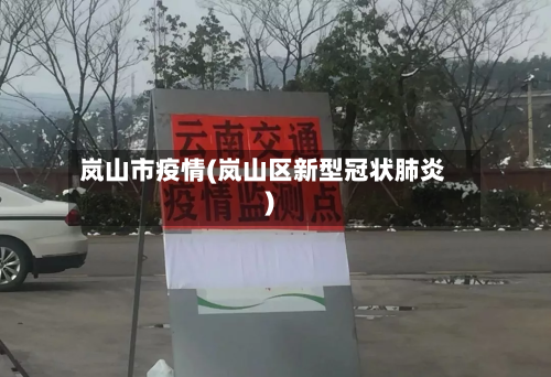 岚山市疫情(岚山区新型冠状肺炎)-第3张图片