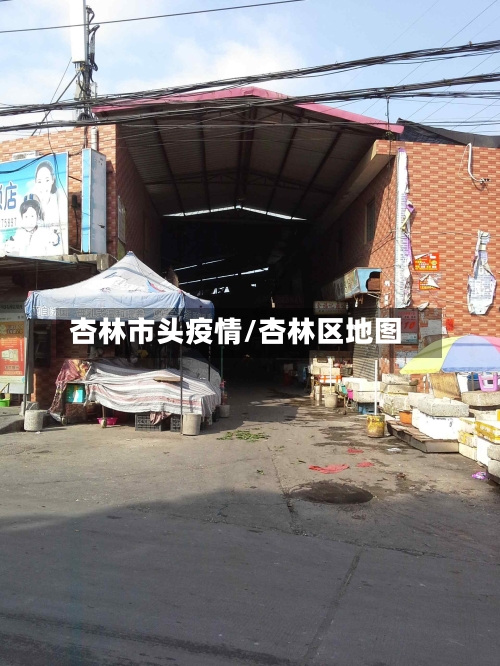 杏林市头疫情/杏林区地图-第3张图片