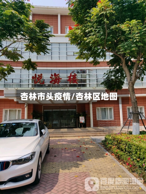 杏林市头疫情/杏林区地图-第1张图片
