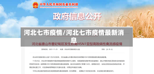 河北七市疫情/河北七市疫情最新消息-第1张图片