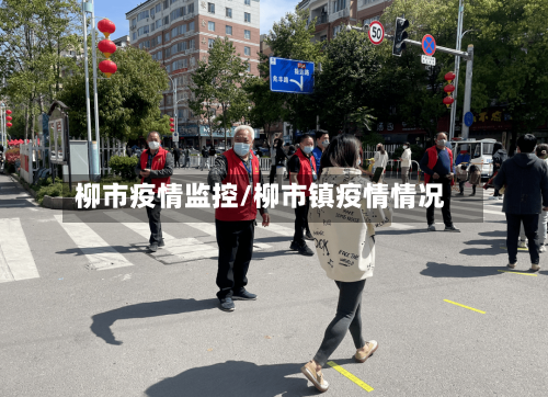 柳市疫情监控/柳市镇疫情情况-第2张图片