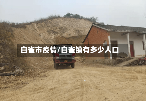 白雀市疫情/白雀镇有多少人口-第2张图片