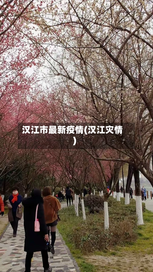 汉江市最新疫情(汉江灾情)-第2张图片