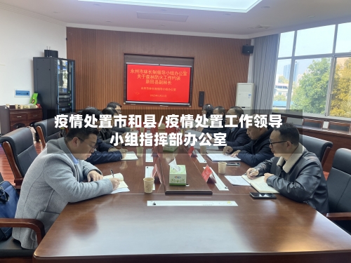 疫情处置市和县/疫情处置工作领导小组指挥部办公室-第2张图片